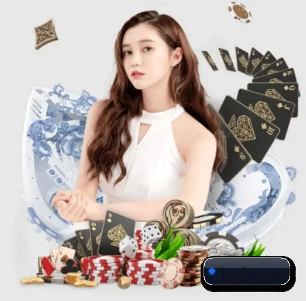 公司成立